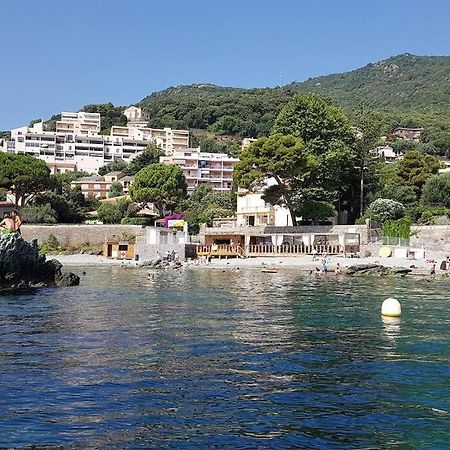 Charmant Studio Climatise Avec Parking, Au Coeur De Pietranera, Plage A 500M, Bastia A 2Km Ville-di-Pietrabugno ภายนอก รูปภาพ